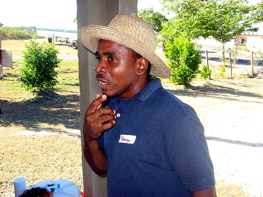 A friend in Clarendon